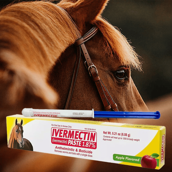 Pâte d'Ivermectine pour Chevaux