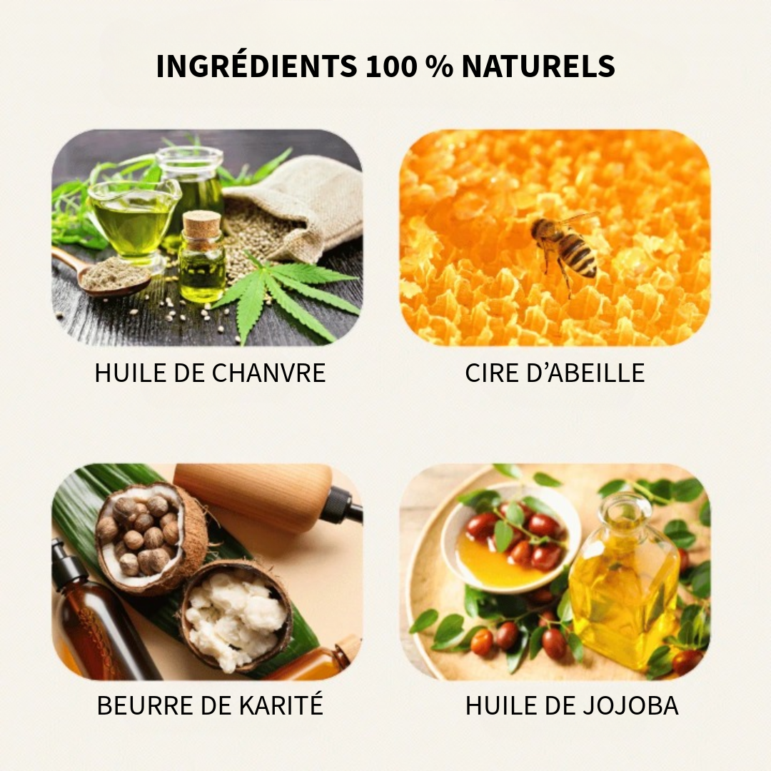 EverGloss™ | Restauration du Cuir + Brosse