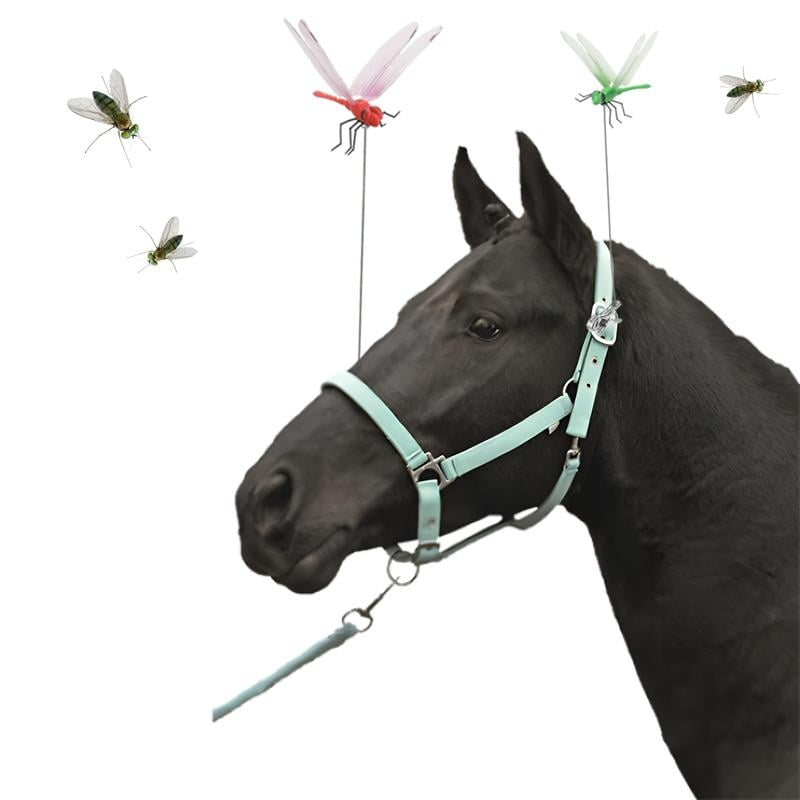 Libellule Anti-Moustique Élégante