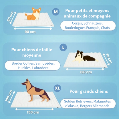 Couverture Rafraîchissante Innovante pour Animaux