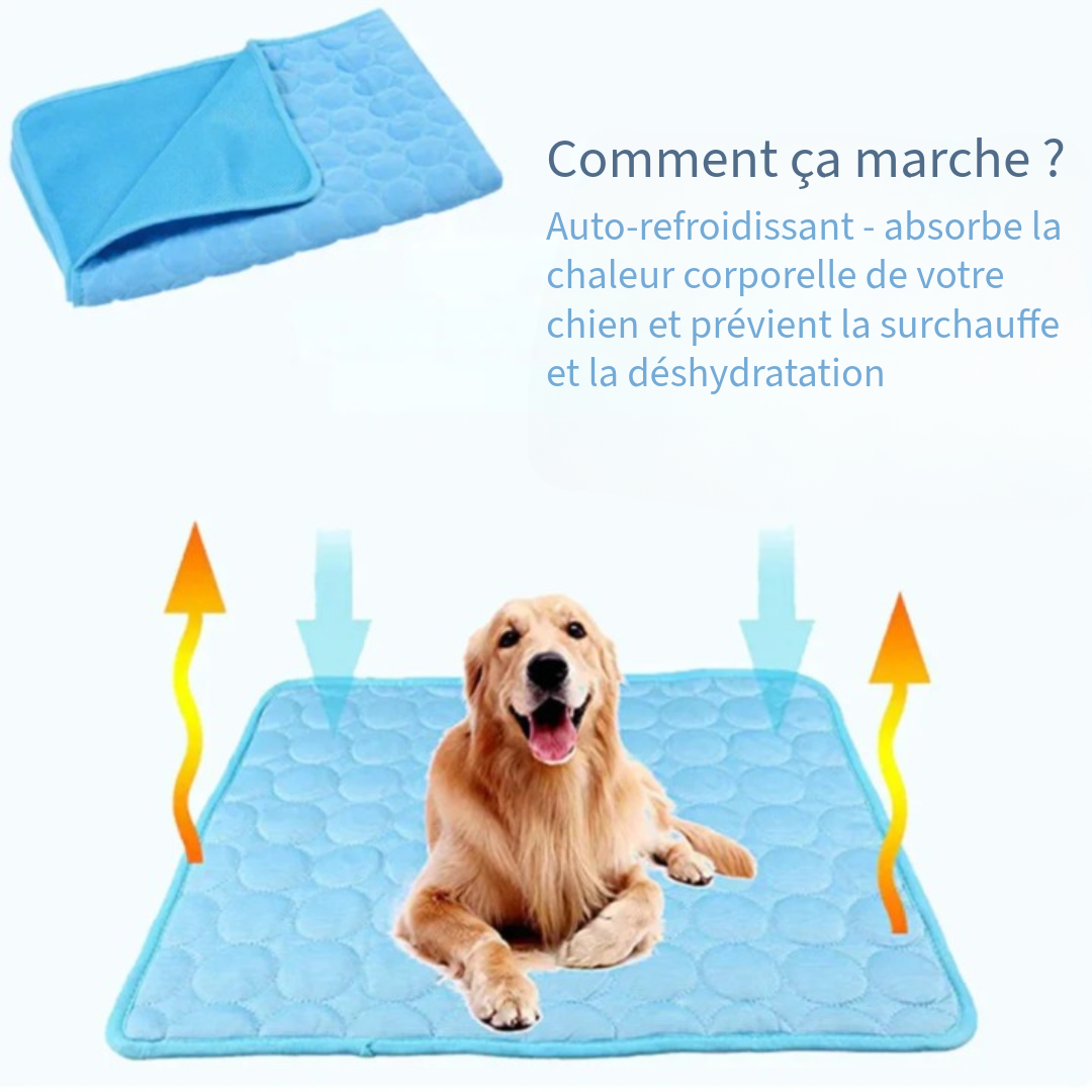 Couverture Rafraîchissante Innovante pour Animaux