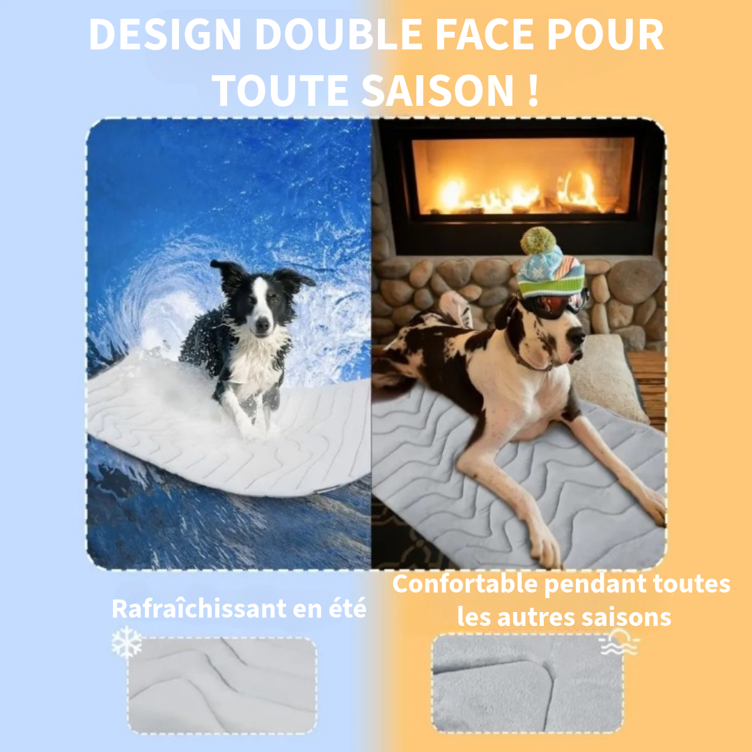 Couverture Rafraîchissante Innovante pour Animaux