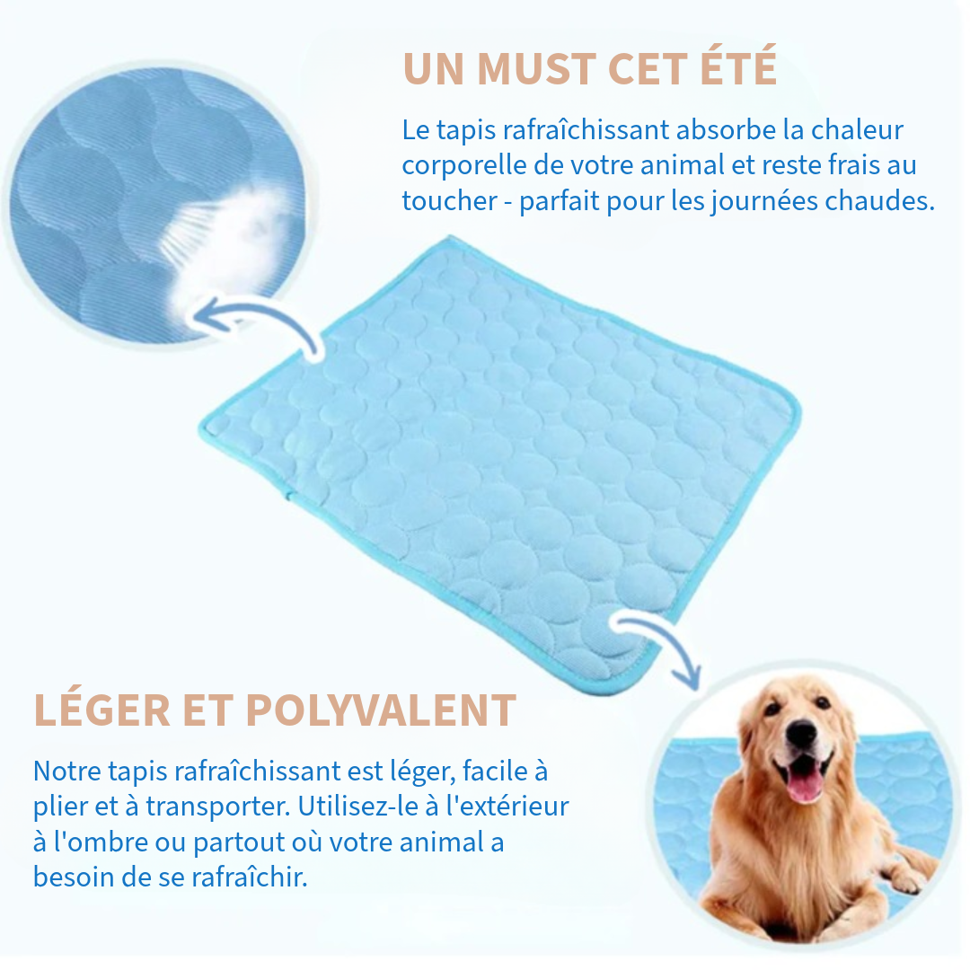 Couverture Rafraîchissante Innovante pour Animaux