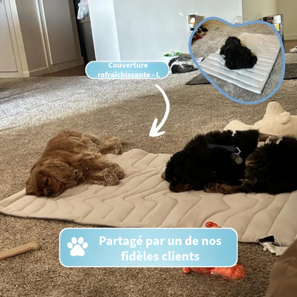 Couverture Rafraîchissante Innovante pour Animaux