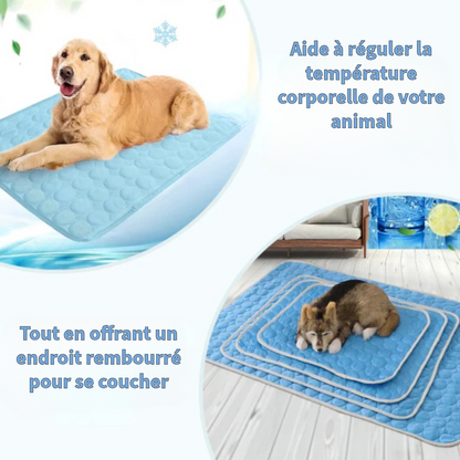 Couverture Rafraîchissante Innovante pour Animaux