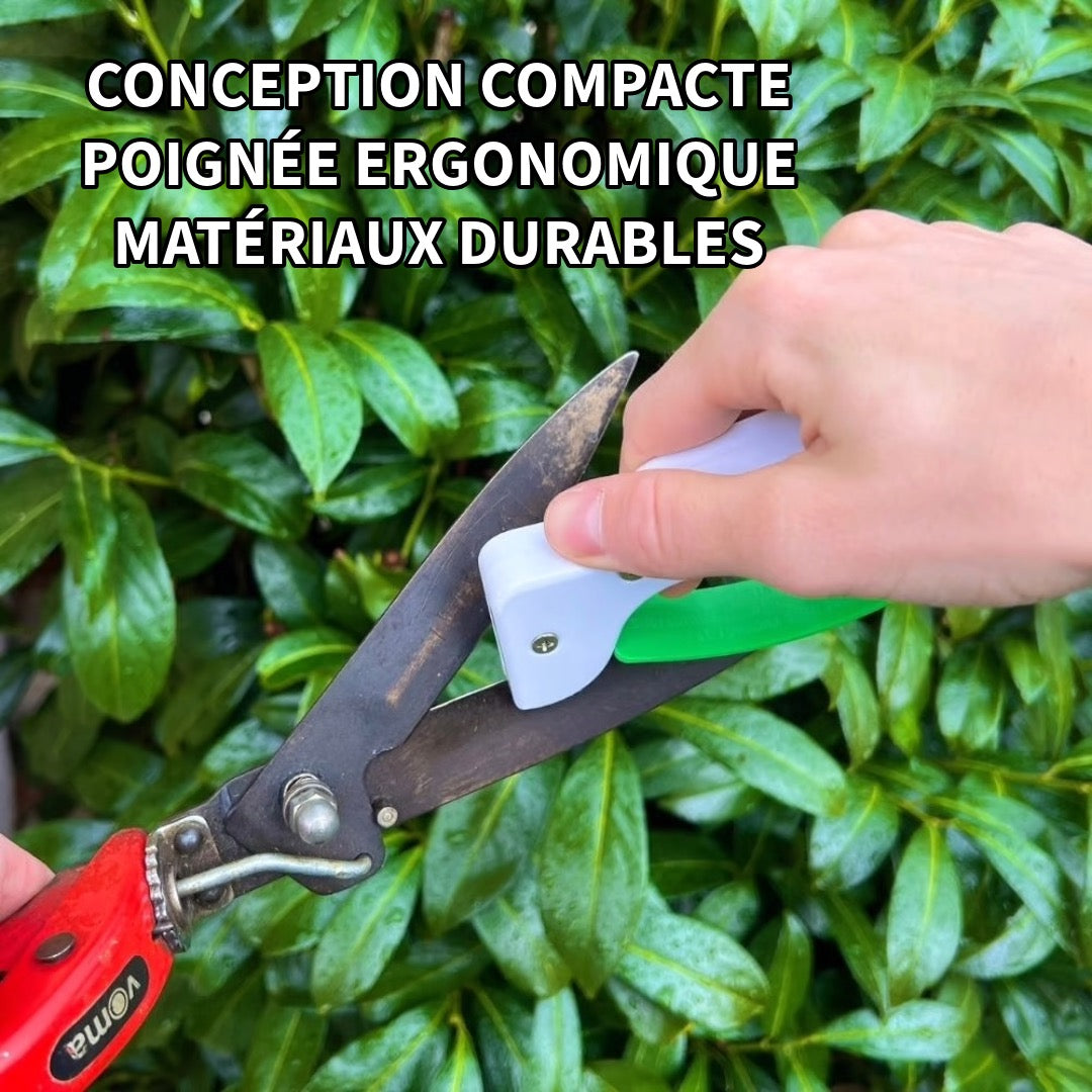 Outil d’Aiguisage de Jardin Professionnel