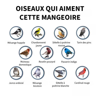 Mangeoire Anti-Écureuil