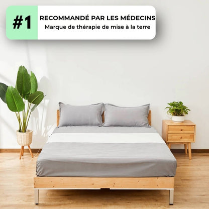 Drap de Mise à la Terre