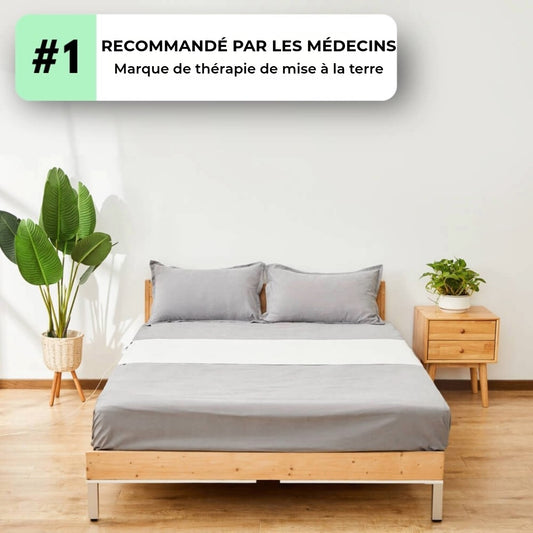 Drap de Mise à la Terre