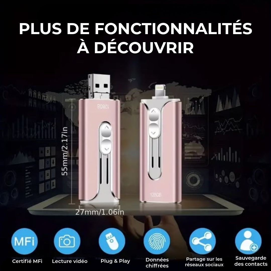 Clé USB Professionnelle avec adaptateur USB-C
