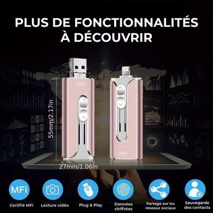 Clé USB Professionnelle avec adaptateur USB-C