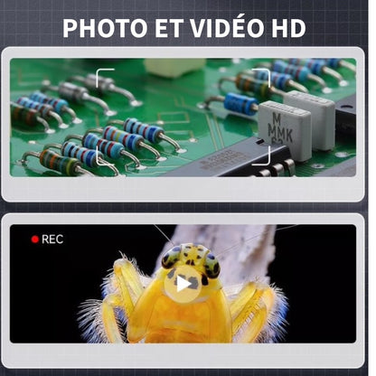 Loupe Numérique