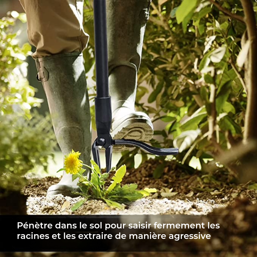 Désherbeur Professionnel