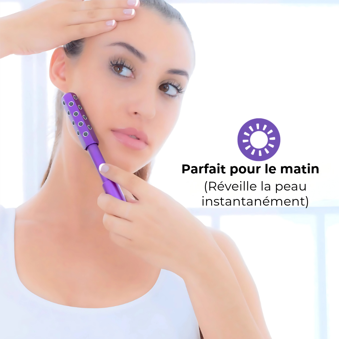 Shaper de Beauté Professionnel