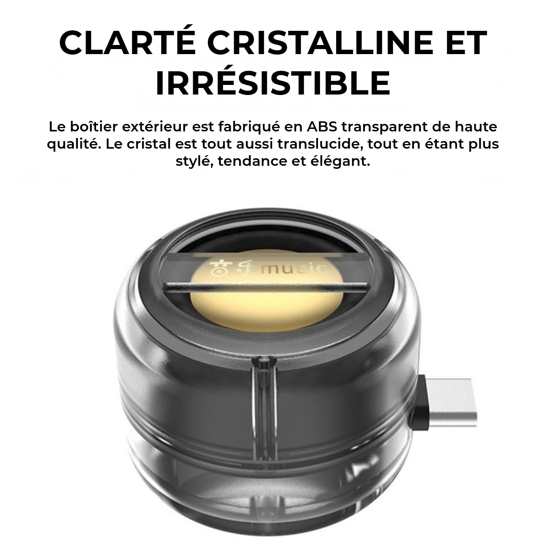 Haut-parleur Plug & Play